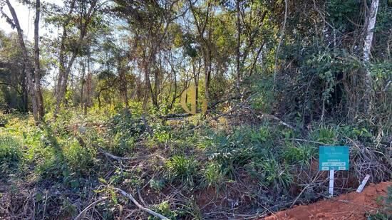 Terreno de 524 m² Vila Albanos - Lagoa Santa, à venda por R$ 229.900