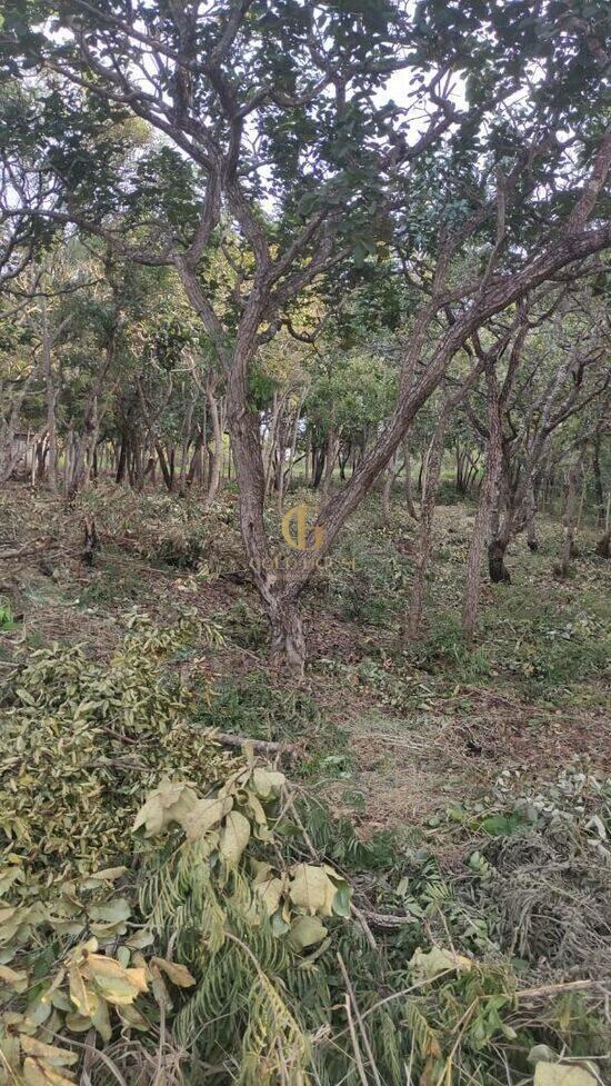 Terreno de 1.280 m² Recanto da Lagoa - Lagoa Santa, à venda por R$ 275.000