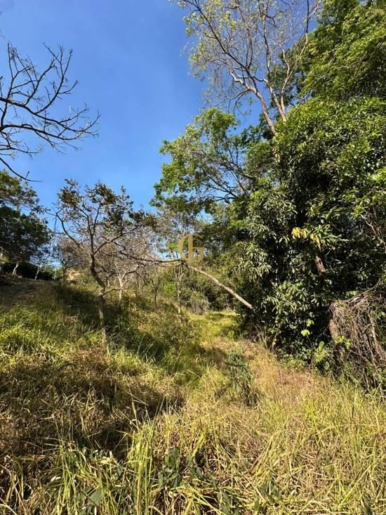 Terreno de 1.495 m² Condomínio Canto do Riacho - Lagoa Santa, à venda por R$ 310.000