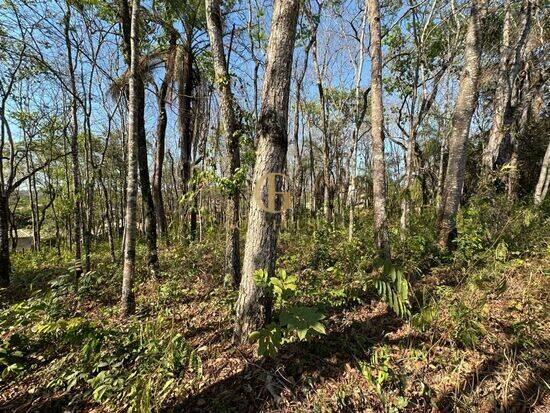 Terreno de 1.128 m² Condomínio Canto do Riacho - Lagoa Santa, à venda por R$ 275.000