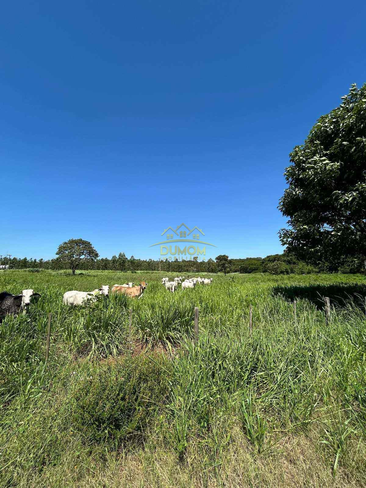 Sítio para Venda por R$ 600.000, Área Rural em Castilho/SP