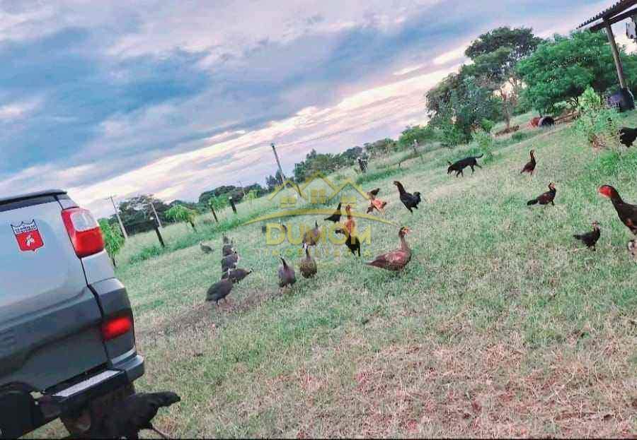 Sítio para Venda por R$ 250.000, Área Rural em Tres Lagoas/MS