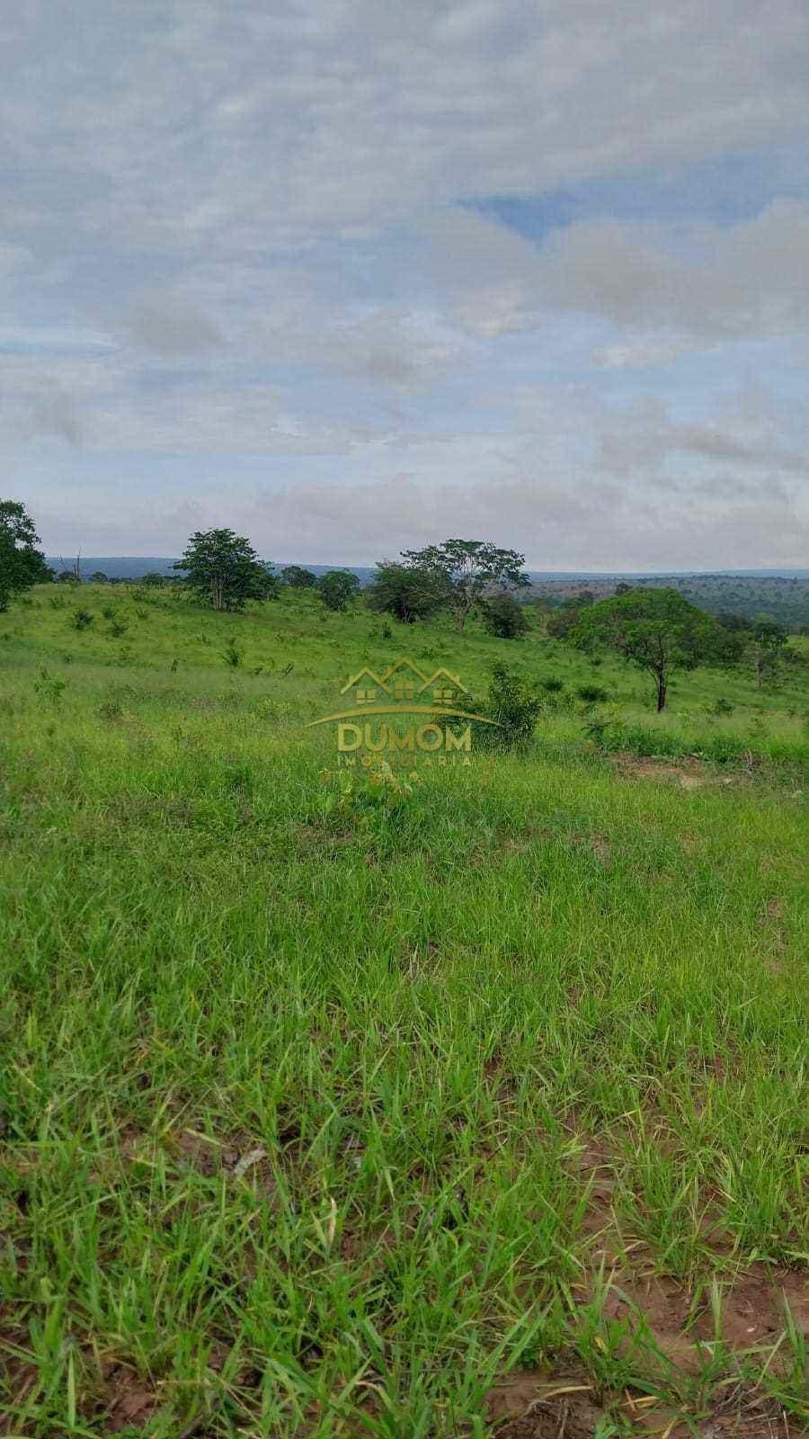 Fazenda para Venda por R$ 7.500.000, Com Parte Em Sonora - Ms em Alto Araguaia/MT