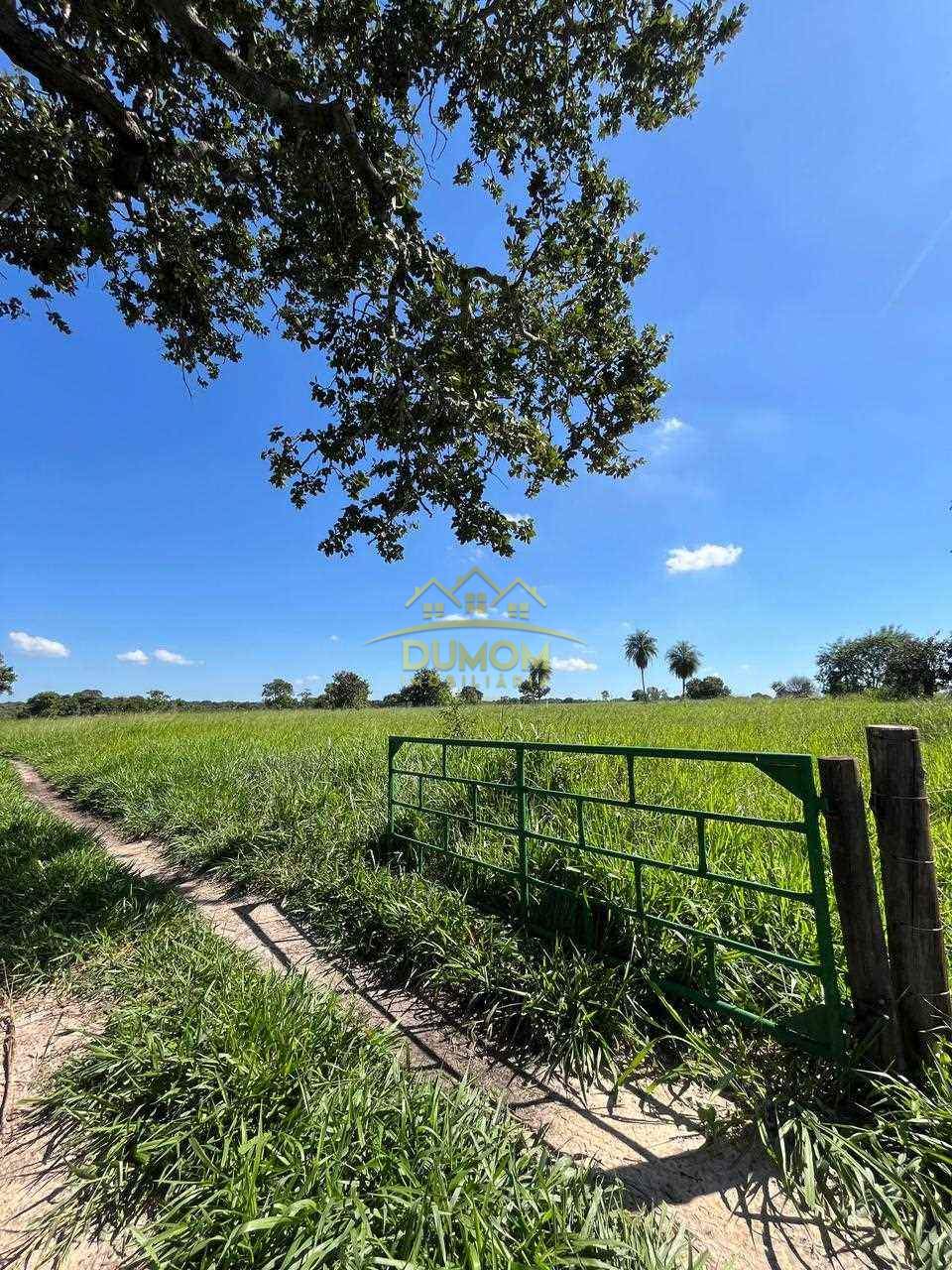 Sítio para Venda por R$ 750.000, Área Rural em Tres Lagoas/MS