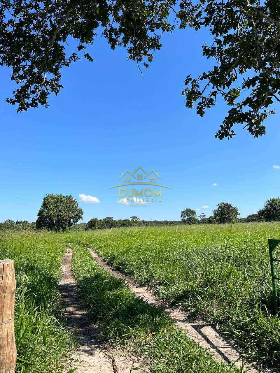 Sítio para Venda por R$ 750.000, Área Rural em Tres Lagoas/MS