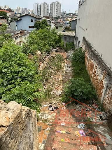 Lote/Terreno, Parque Renato Maia - Guarulhos