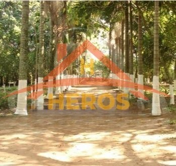 Sítio 12,9 HA, Belém Novo, R$ 1,5milhão