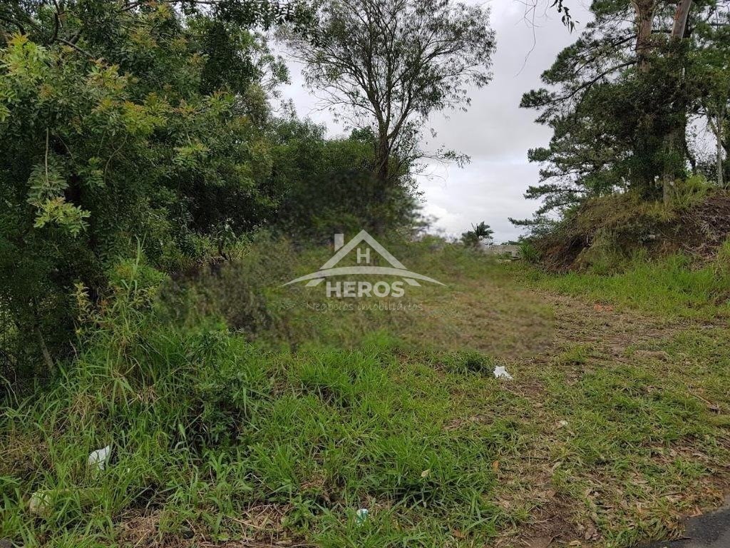 Terreno com 159m², Belém Novo, 110 mil