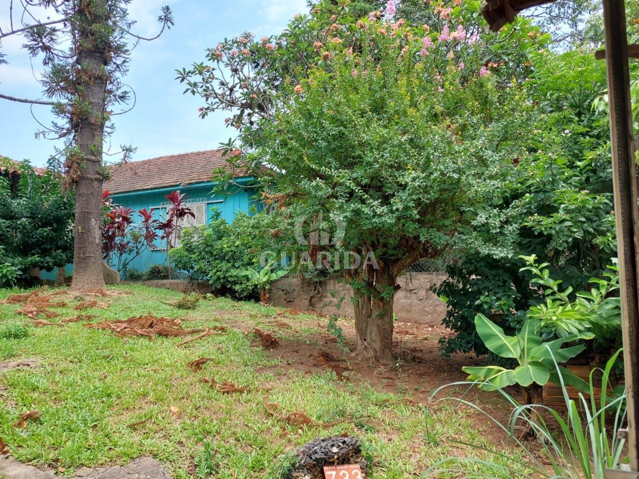 TERRENO