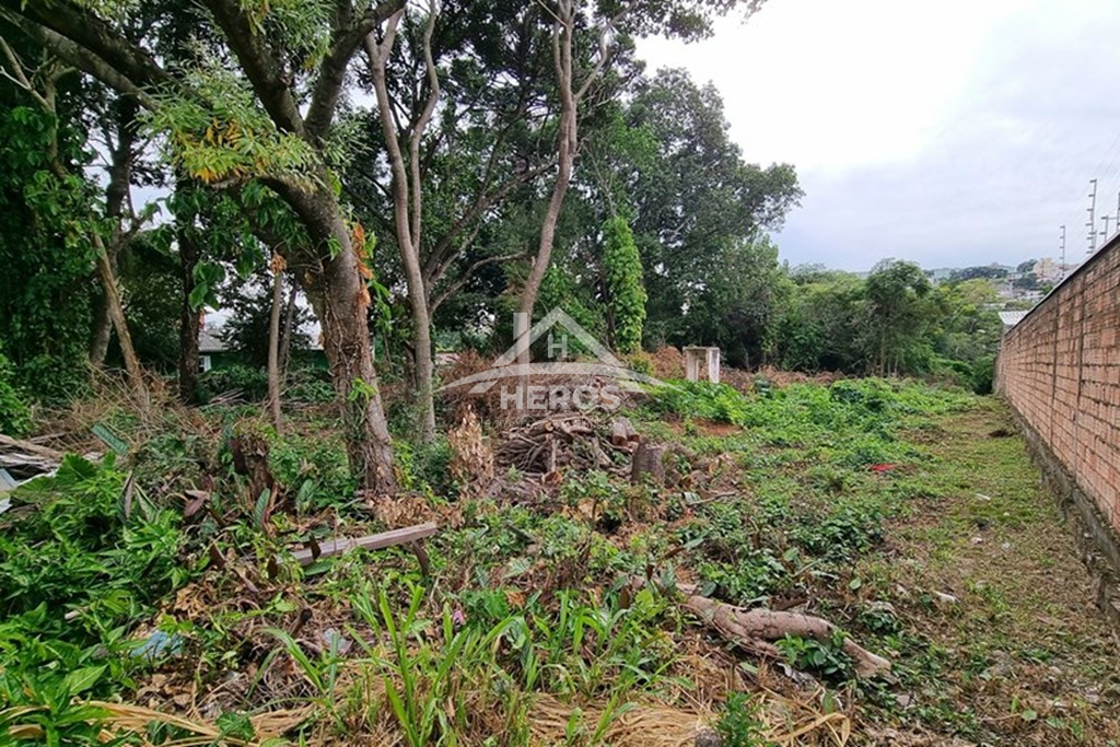 Terreno 219480