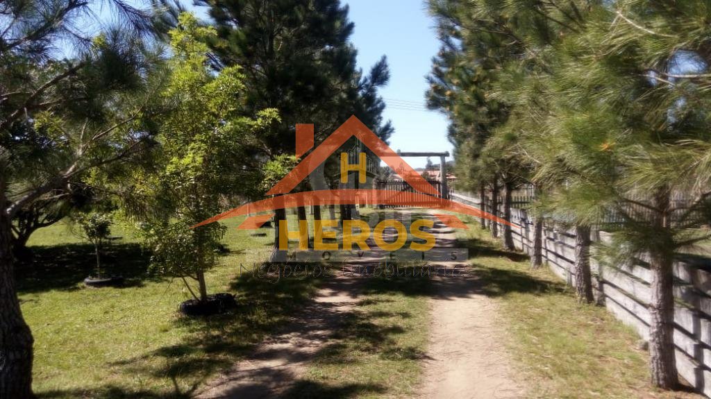 Sítio, Lami, 20000m², R$ 477mil