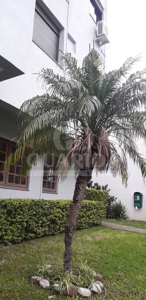 Apartamento 2 dorm, 60m², Nonoai, R$ 242mil