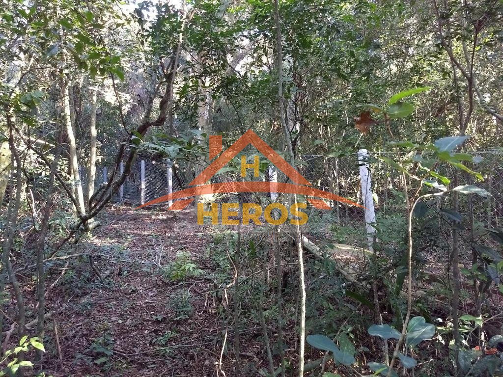 Terreno Residencial À Venda, Ponta Grossa, Porto A