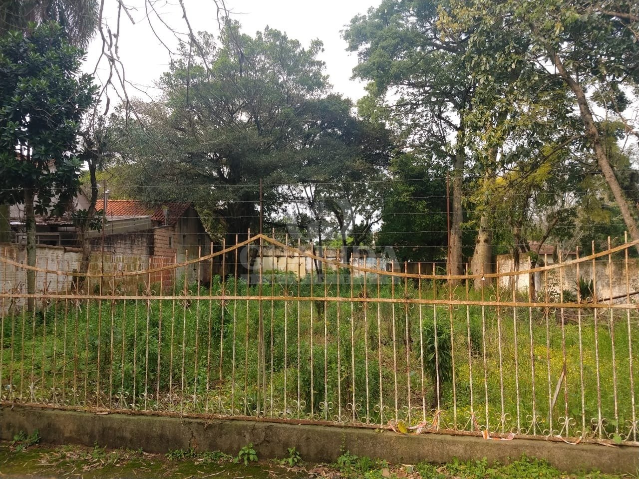 Terreno, 680 m², Ipanema, R$ 800mil