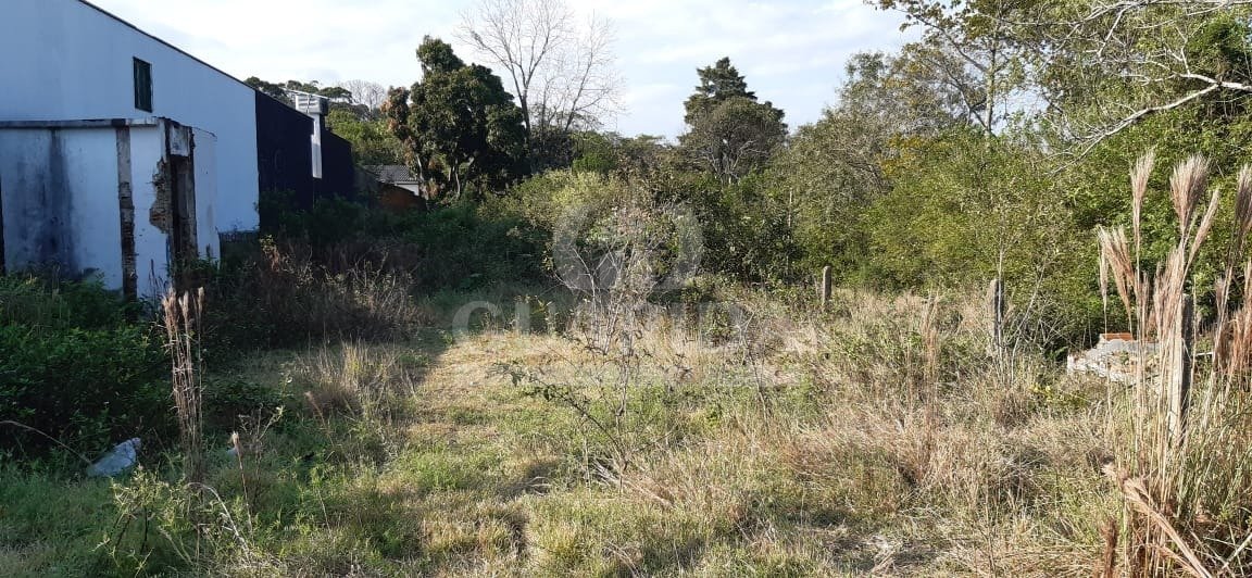 Terreno 800m², Lomba do Pinheiro, R$ 375mil