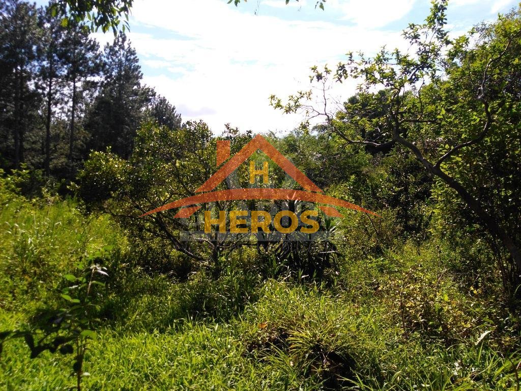 Sítio 10000m², Lajeado, R$ 426mil