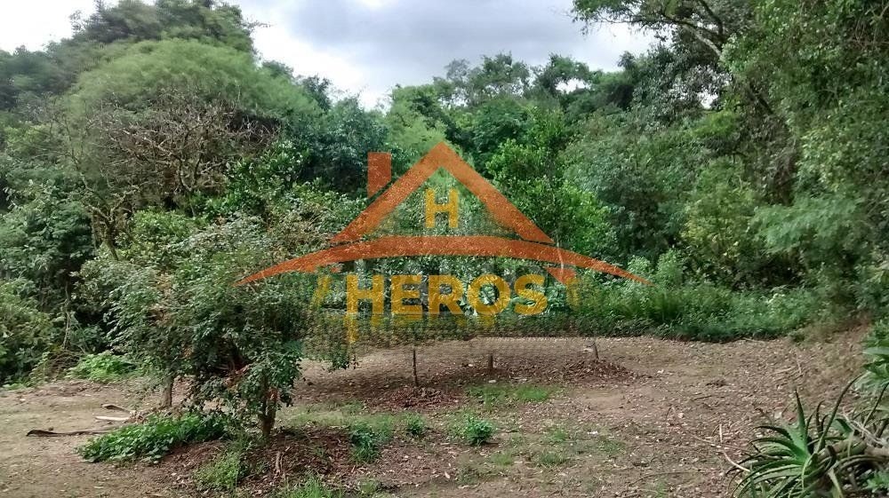 Sítio 3326m°, Lomba do Pinheiro, R$ 750mil