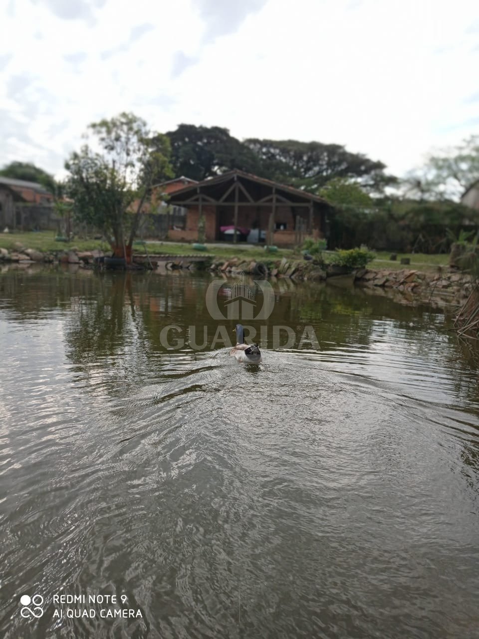 Sítio 3mil m²,casa 4 dorm, Lageado, R$ 789mil