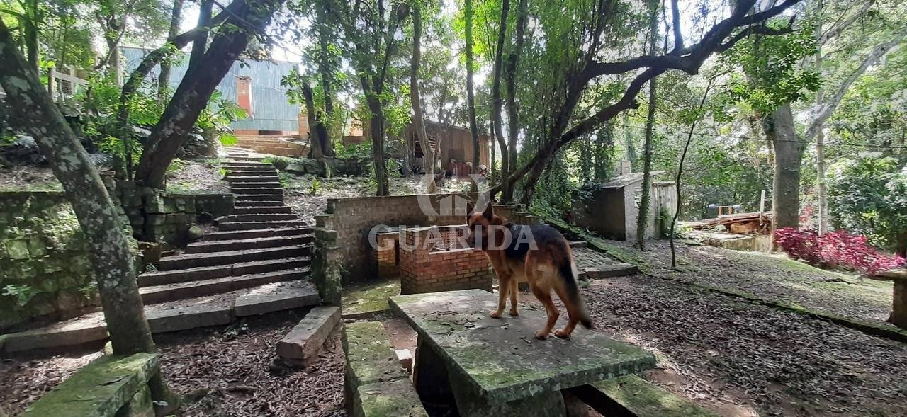 Sitio 3200m², Lageado, R$ 550mil