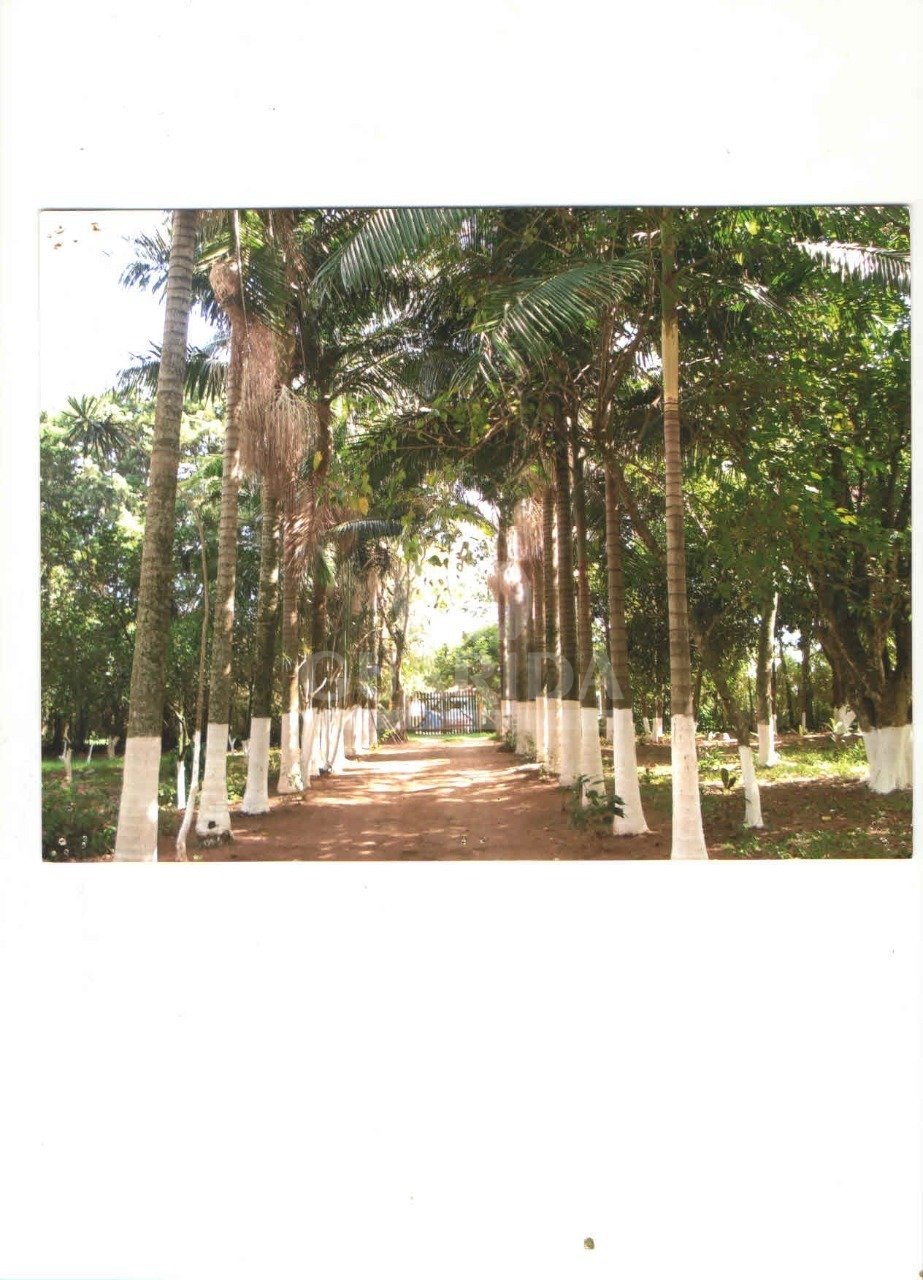 Sítio, 15098m², Lageado, R$ 1,2 milhão