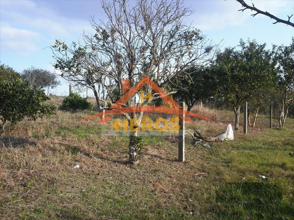 Sítio 23 ha, Glorinha R$ 1,0MM