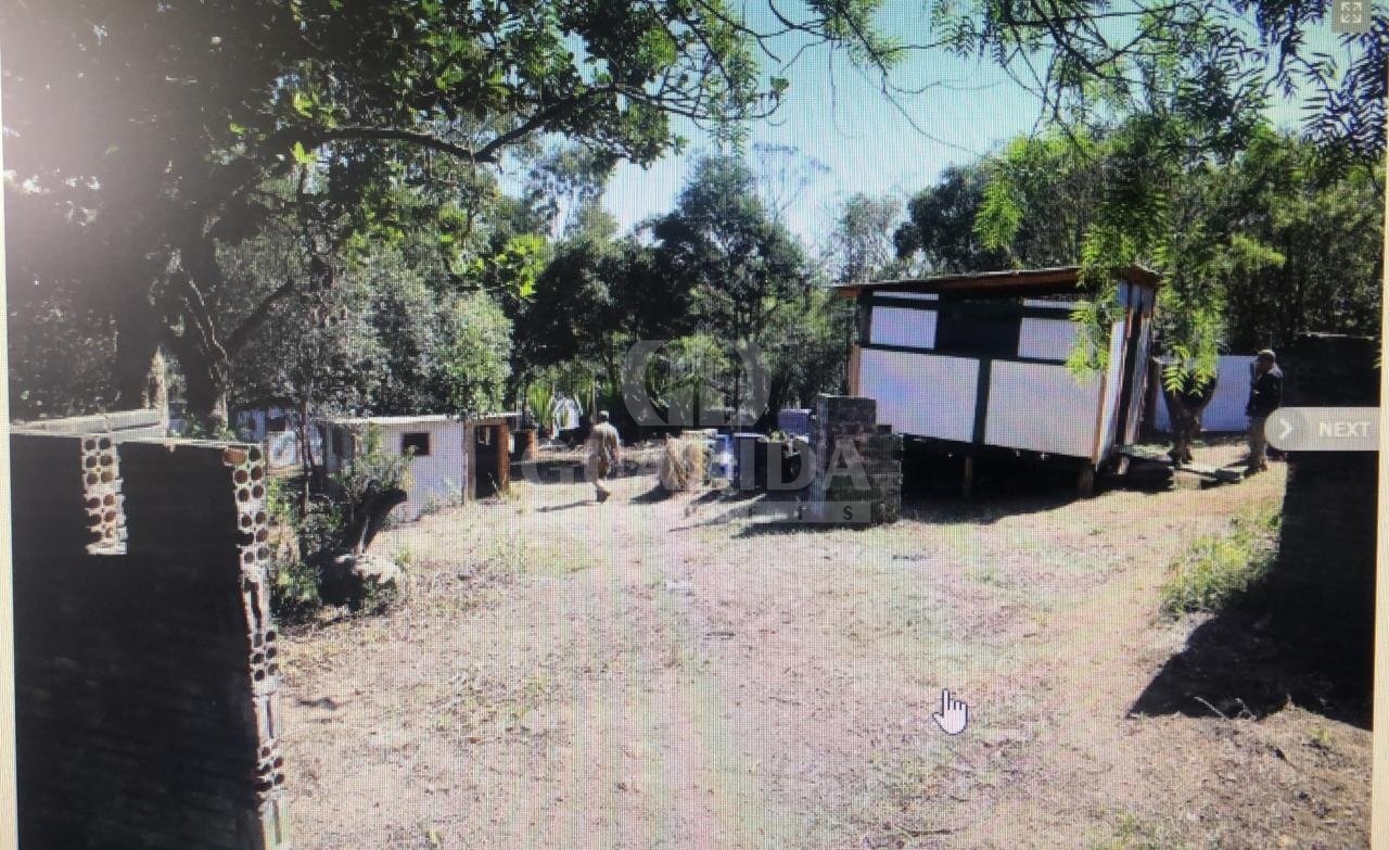 Terrno10000m²,  Vila Nova, R$ 1,38 milhão