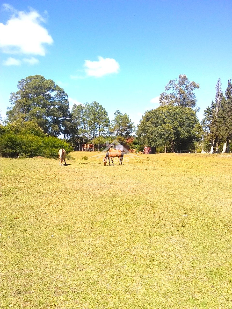 Terreno 34.720m², Lajeado, R$ 980mil