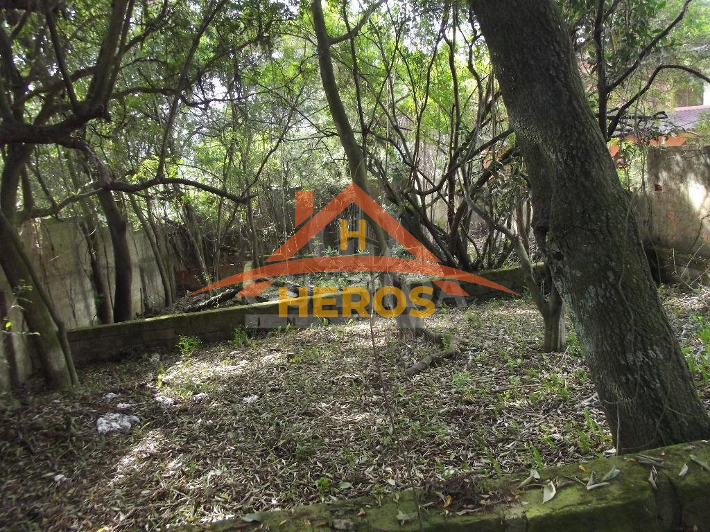 Terreno 660m², Vila Nova, R$ 248mil