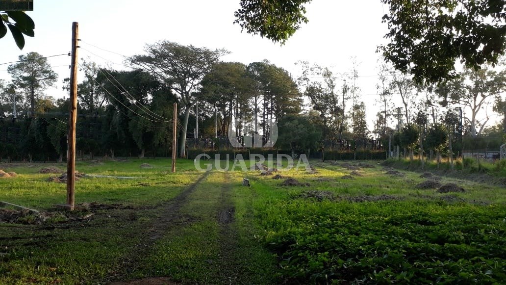Área de 14 mil m², Lageado, Zona Sul