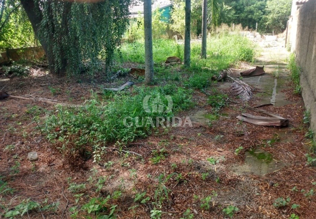 TERRENO 11x38,5 com área total424m², Lami, 75mil