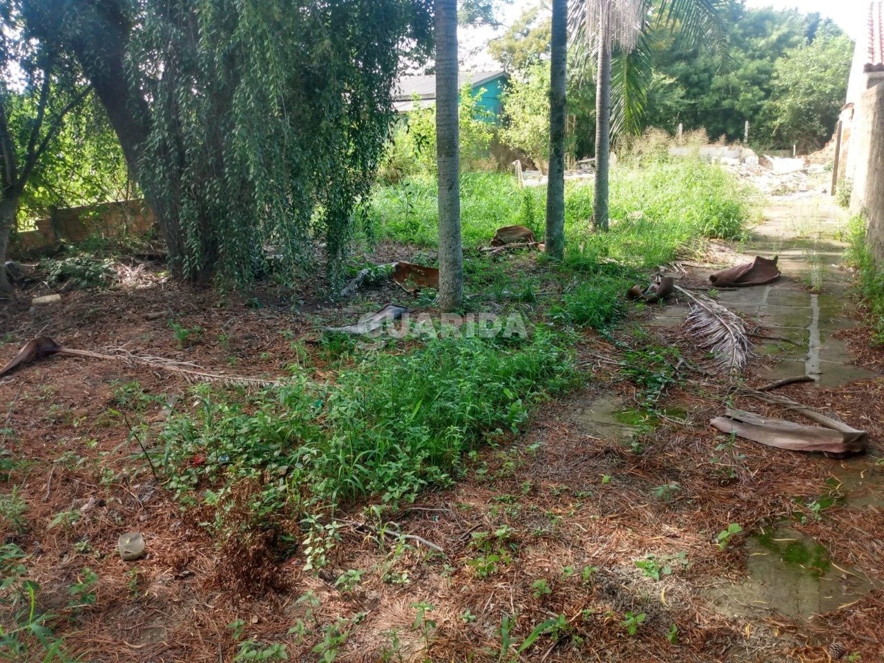 TERRENO 11x38,5 com área total424m², Lami, 75mil