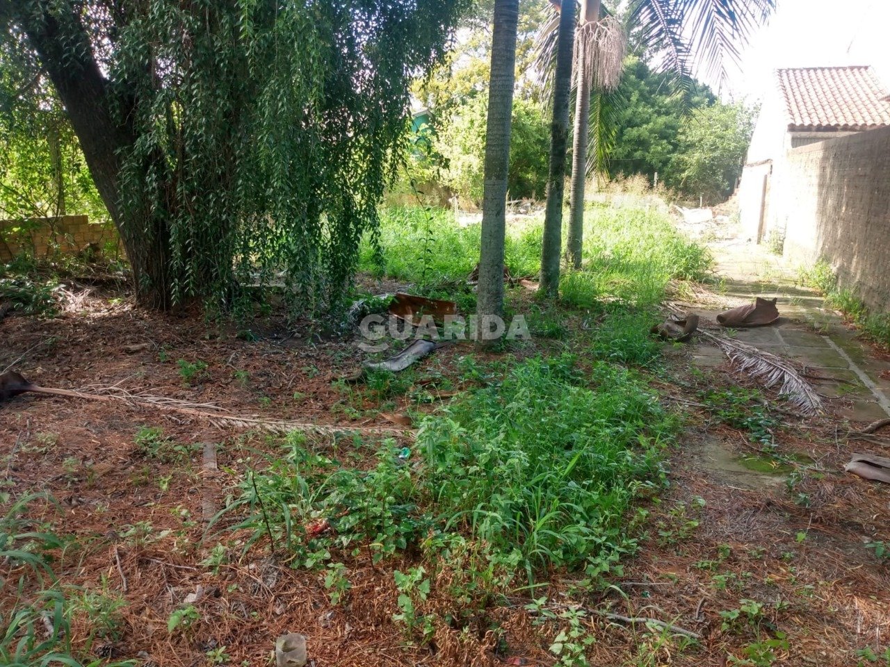 TERRENO 11x38,5 com área total424m², Lami, 75mil