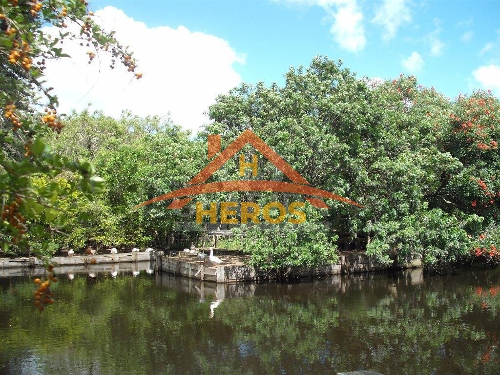 Sítio em Itapuã, 6HA, R$ 2,2 milhões
