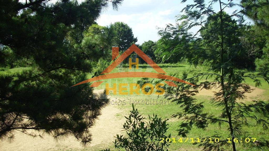 Área 4,2HA, Lomba do Pinheiro, R$ 3,5milhões