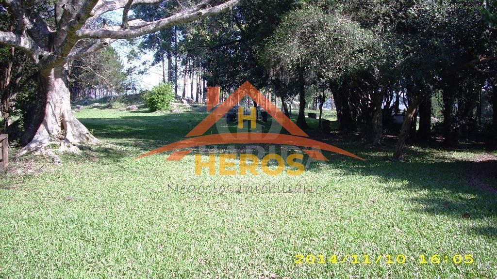 Área 4,2HA, Lomba do Pinheiro, R$ 3,5milhões