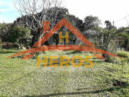 Sitio 2615m², Lami, R$ 170mil