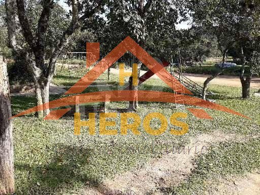 Sitio 2615m², Lami, R$ 170mil