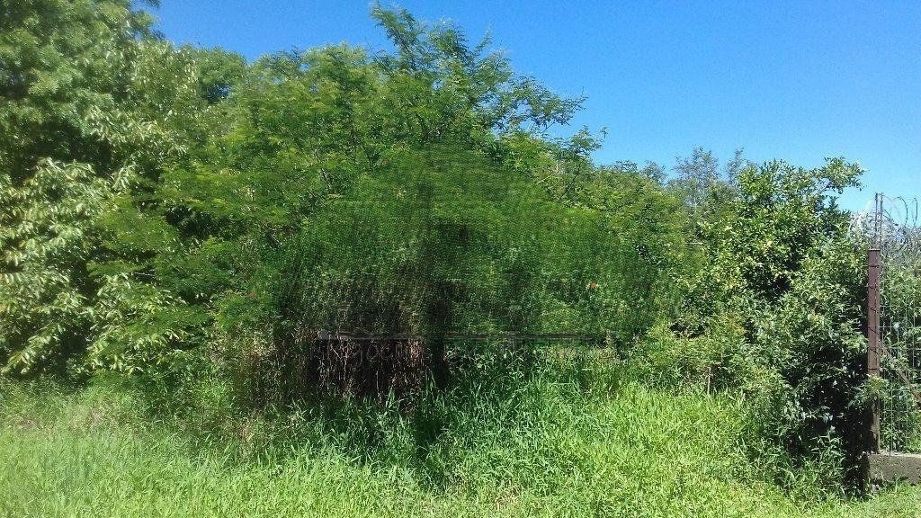Terreno 10000m², Belém Novo, R$ 1,6milhão
