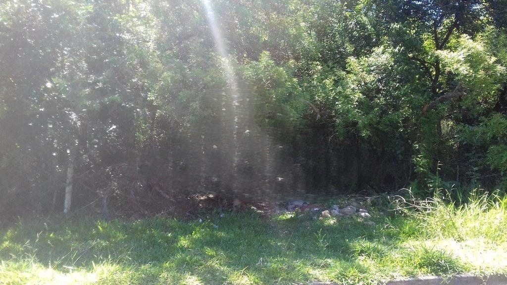 Terreno 10000m², Belém Novo, R$ 1,6milhão