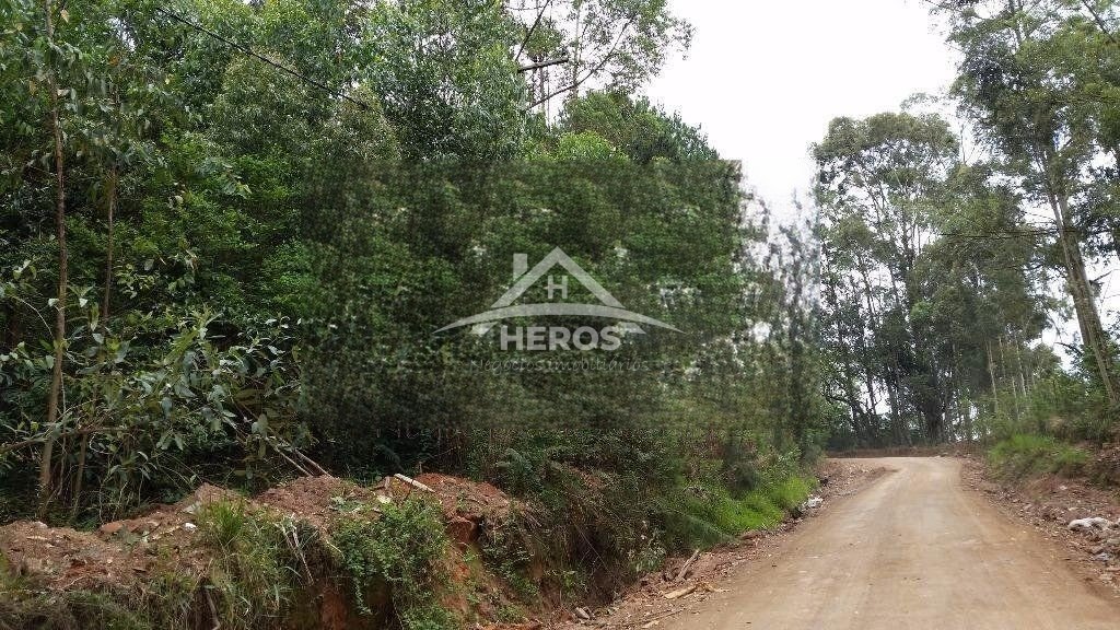 Área 43800m², Belém Velho, R$ 950mil
