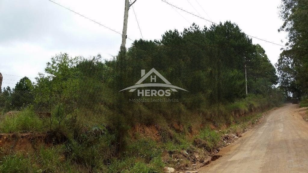 Área 43800m², Belém Velho, R$ 950mil