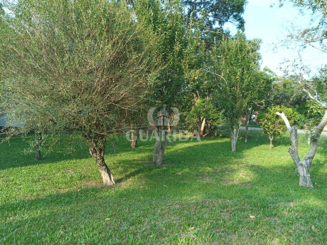 Sítio, 20000m², Lami, R$ 700mil