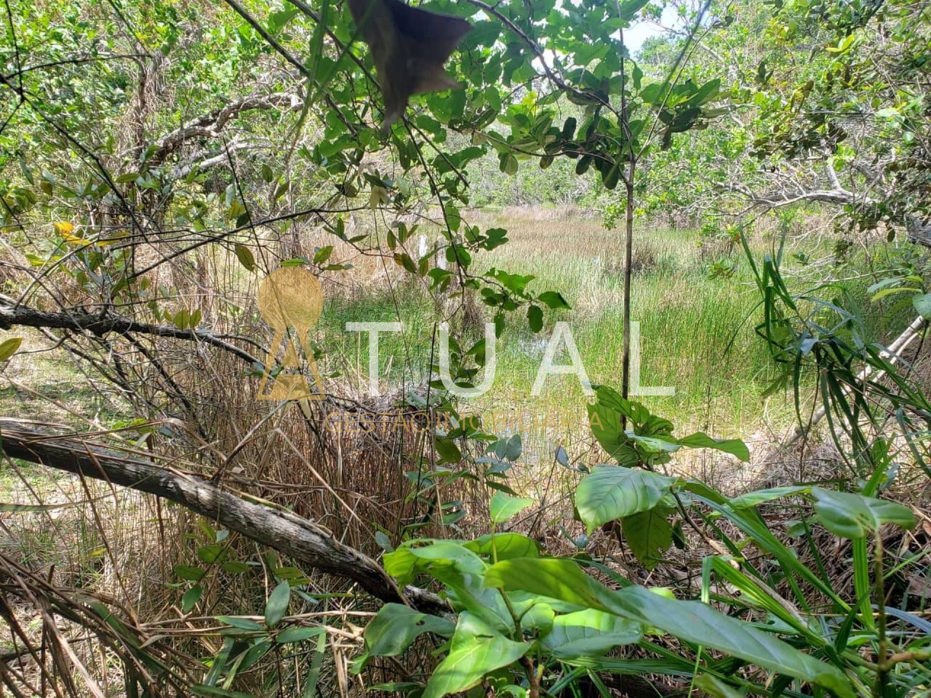 Terreno de 2.025m² na Reserva da Sapiranga