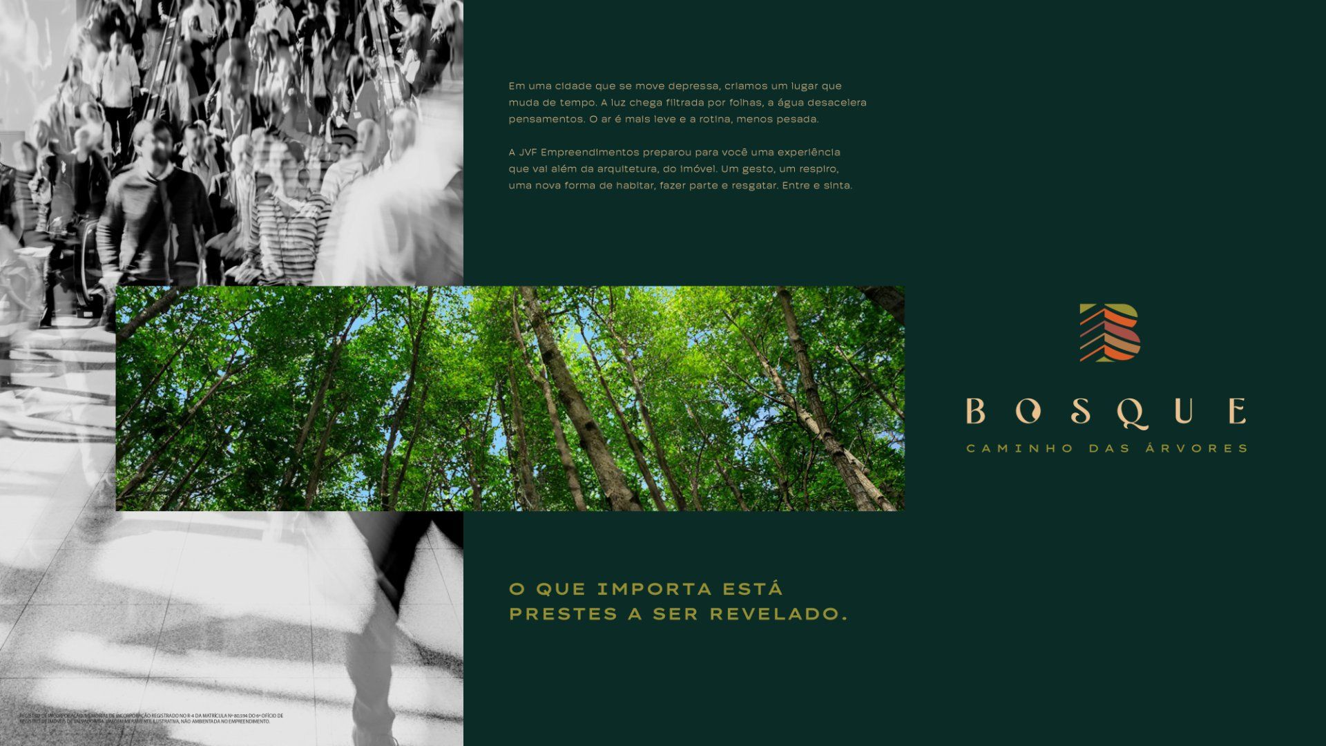 Boasque Caminho das Arvores